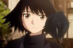 野中晴