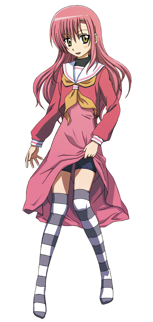 桂ヒナギク
