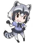 アライグマ