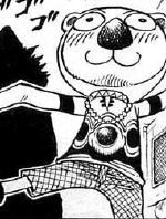 コアラ