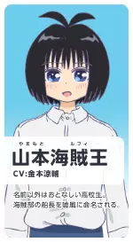 山本海賊王