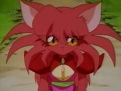 赤の珠献