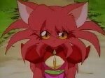 赤の珠献
