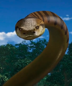 ティタノボア
