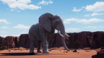 アフリカゾウ