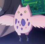 パヨ