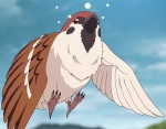 チュン太郎