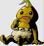 長老の息子