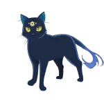 夜