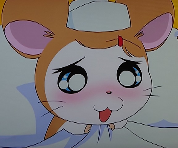 ナースちゃん