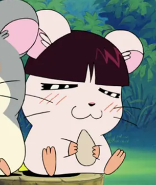 ハナちゃん
