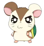 カメハムくん