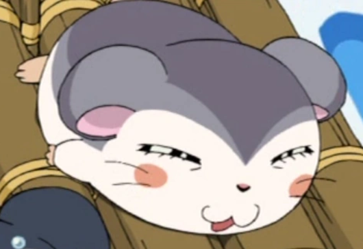 あざらしちゃん