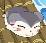 あざらしちゃん