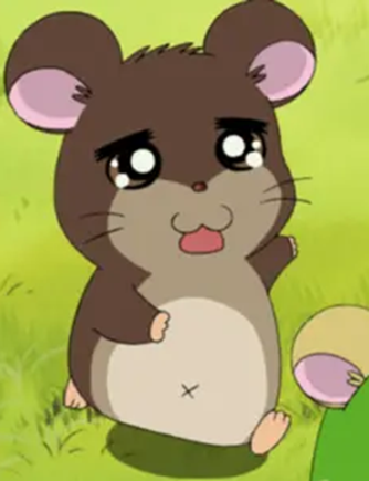 くまくん