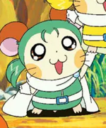 キューティー