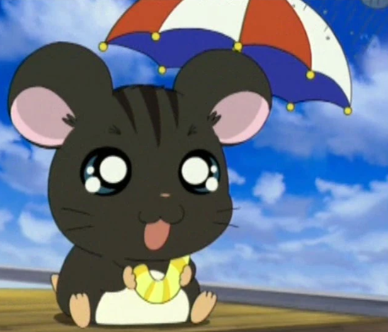 くろハムくん