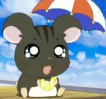 くろハムくん