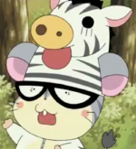 ゼブラさん