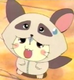 タヌキさん