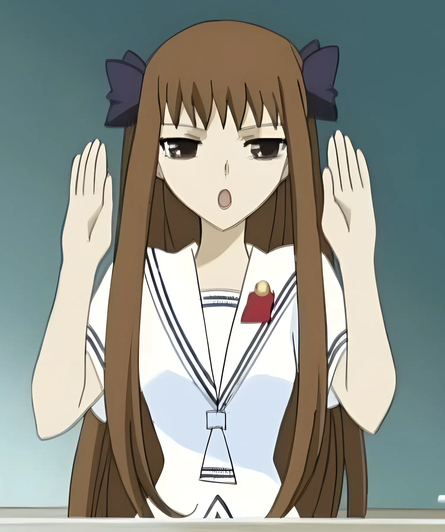 皆川 素子