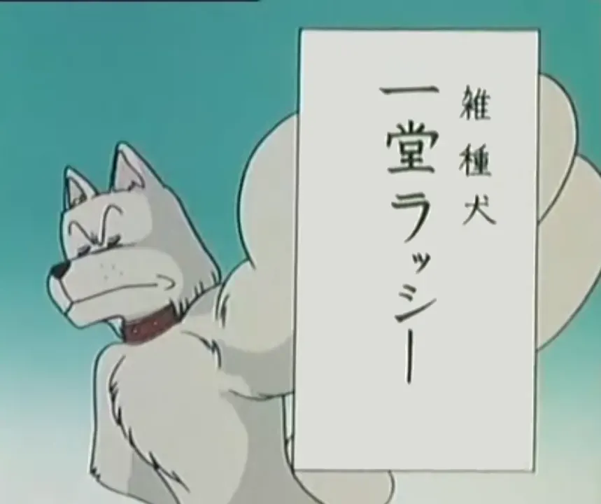 一堂ラッシー