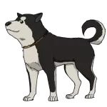 ブラックハヤテ号